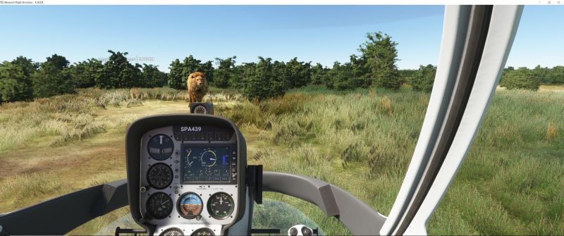 Wildlife in Fltsim 2020  17 