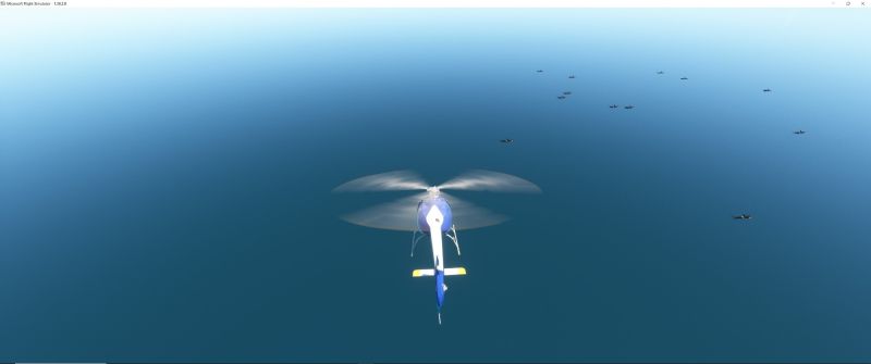 Wildlife in Fltsim 2020  20 